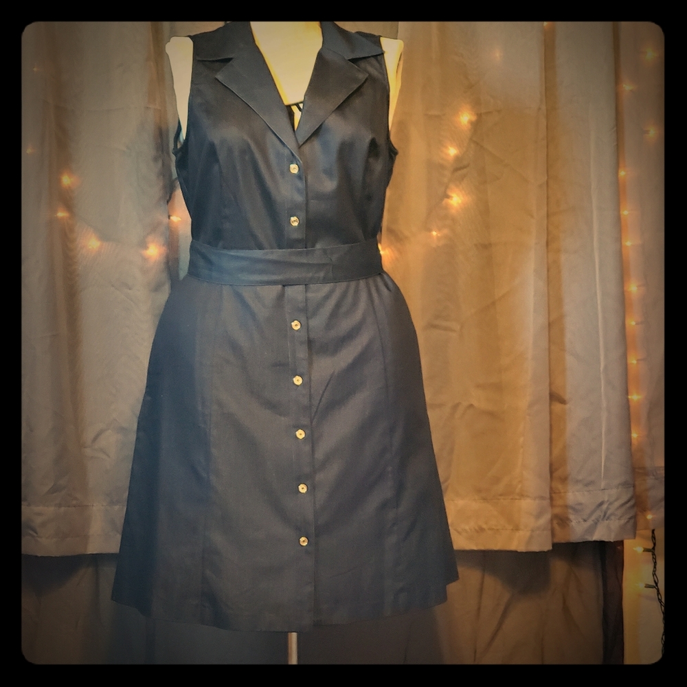 Ellen Tracy dress